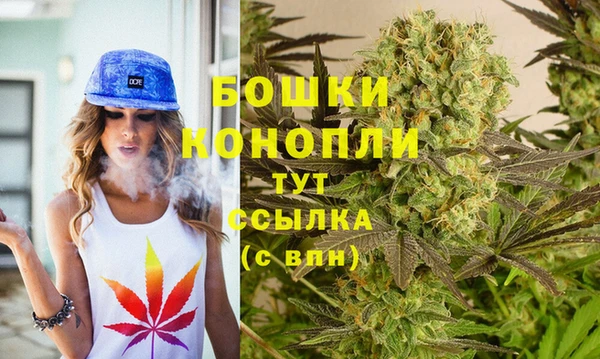 гидра Балахна