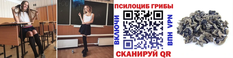 нарко площадка официальный сайт  как найти закладки  Мурманск  Галлюциногенные грибы мицелий 
