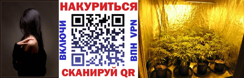 Канабис конопля  Мурманск 